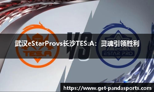 武汉eStarProvs长沙TES.A：灵魂引领胜利